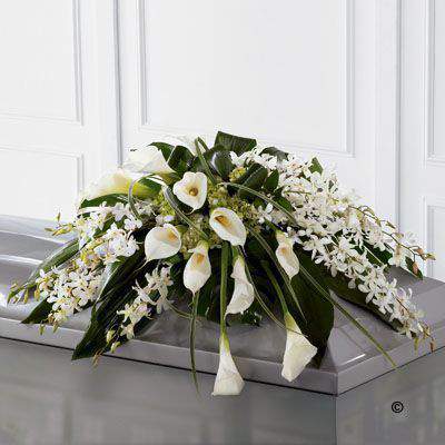 <h2>Traditional White Casket Spray | Funeral Flowers</h2>
<ul>
<li>Approximate Size 45cm x 140cm (4.5ft)</li>
<li>Hand created traditional white casket spray in fresh flowers</li>
<li>To give you the best we may occasionally need to make substitutes</li>
<li>Funeral Flowers will be delivered at least 2 hours before the funeral</li>
<li>For delivery area coverage see below</li>
</ul>
<br>
<h2>Liverpool Flower Delivery</h2>
<p>We have a wide selection of casket flowers offered for Liverpool Flower Delivery. Casket flowers can be provided for you in Liverpool, Merseyside and we can organize Funeral flower deliveries for you nationwide. Funeral Flowers can be delivered to the Funeral directors or a house address. They can not be delivered to the crematorium or the church.</p>
<br>
<h2>Flower Delivery Coverage</h2>
<p>Our shop delivers funeral flowers to the following Liverpool postcodes L1 L2 L3 L4 L5 L6 L7 L8 L11 L12 L13 L14 L15 L16 L17 L18 L19 L24 L25 L26 L27 L36 L70 If your order is for an area outside of these we can organise delivery for you through our network of florists. We will ask them to make as close as possible to the image but because of the difference in stock and sundry items it may not be exact.</p>
<br>
<h2>Liverpool Funeral Flowers | Casket Flowers</h2>
<p>This traditional white casket spray has been loving handcrafted by our expert florists. A selection of white calla lilies are arranged with stunning white dendrobium orchids, green hydrangeas and a variety of luscious green foliage creates a very graceful casket spray.</p>
<br>
<p>Funeral Casket Flowers the main tribute and are sometimes, depending on the family's wishes, the only flower arrangement. They are usually chosen by the immediate family.</p>
<br>
<p>Casket sprays are placed directly on top of the coffin. They range from 3ft - 6ft. Smaller sizes will often be selected if there are other items to go on the coffin with the spray.</p>
<br>
<p>The sprays are large diamond shape tributes. The flowers are arranged in floral foam, which means the flowers have a water source meaning they look their very best for the day.</p>
<br>
<p>This casket spray contains 12 white calla lilies, 10 white dendrobium orchids, 2 green hydrangea blooms together with seasonal mixed foliage.</p>
<br>
<h2>Best Florist in Liverpool</h2>
<p>Trust Award-winning Liverpool Florist, Booker Flowers and Gifts, to deliver funeral flowers fitting for the occasion delivered in Liverpool, Merseyside and beyond. Our funeral flowers are handcrafted by our team of professional fully qualified who not only lovingly hand make our designs but hand-deliver them, ensuring all our customers are delighted with their flowers. Booker Flowers and Gifts your local Liverpool Flower shop.</p>
<br>
<p><em>Janice Crane - 5 Star Review on Google - Funeral Florist Liverpool</em></p>
<br>
<p><em>I recently had to order a floral tribute for my sister in laws funeral and the Booker Flowers team created a beautifully stunning arrangement. Thank you all so much, Janice Crane.</em></p>